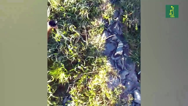 Cuarto día de bajas temperaturas y espectaculares formaciones heladas en Valle Nuevo