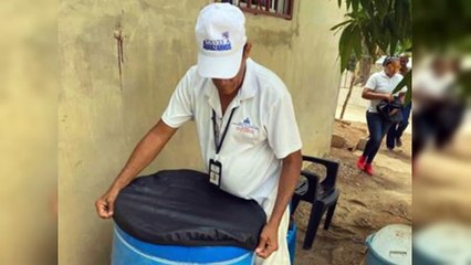 OPS destaca aumento de casos de dengue, Oropouche y gripe aviar