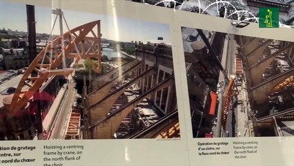 Notre Dame, la catedral más famosa, recupera su piedra blanca