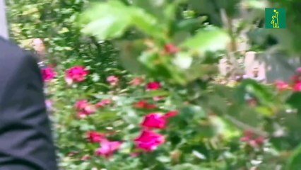 Trump pide sobreseimiento de caso por exactriz porno amparándose en indulto de Biden a su hijo