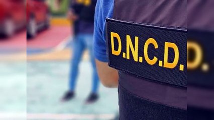 DNCD refuerza su labor en aeropuertos y puertos por época navideña