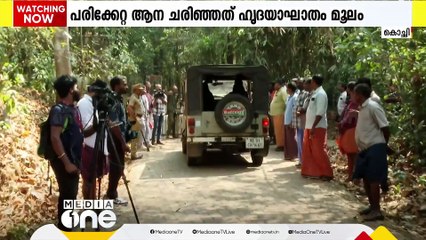 കോടനാട് ചികിത്സയിലിരിക്കെ ചരിഞ്ഞ ആനയുടെ പോസ്റ്റ്മോർട്ടം പൂർത്തിയായി; മരണകാരണം ഹൃദയാഘാതം