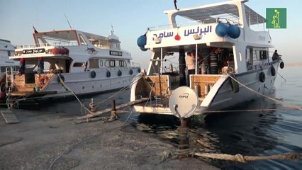 Al menos 17 desaparecidos en el naufragio de un barco de turismo en Egipto