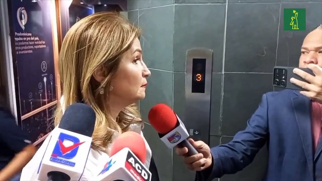 Circe Almánzar considera que el Gobierno debe paralizar empresas que no cumplan con el 80-20 en contratación de empleos