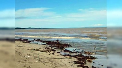 Dos ahogados y varios desaparecidos por crecida de playa en Miches