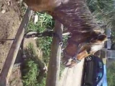 Premier rayons de soleil - Douche pour ma louloute