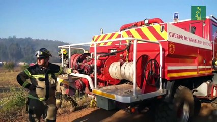 Autoridades decretan alerta roja por los incendios forestales en Valparaíso