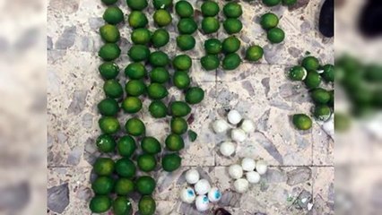 Intervienen carga con 162 limones de cerámica llenos de cocaína