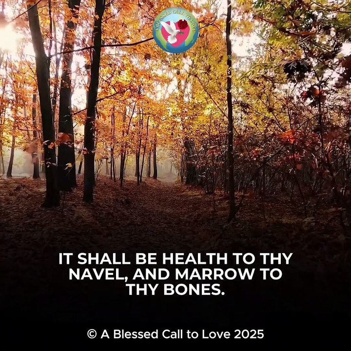 Proverbs 3:5-9 - Scripture Song
