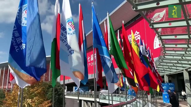 Comienza la 7ª Expo de Importaciones de China, marcada por tensión económica y geopolítica