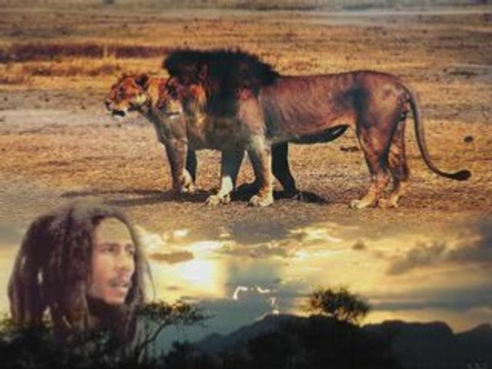 Pour toi bob marley