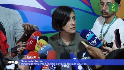 Tensión en la recta final de la COP16