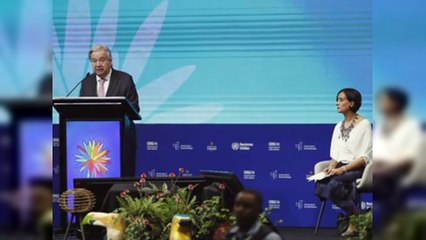 COP16 y financiación: final incierto