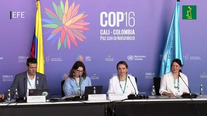 Más de un tercio de los árboles está en peligro de extinción en el mundo, advierte la UICN.mp4