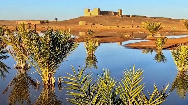 Lluvias torrenciales devuelven la vida al desierto del Sáhara en Marruecos