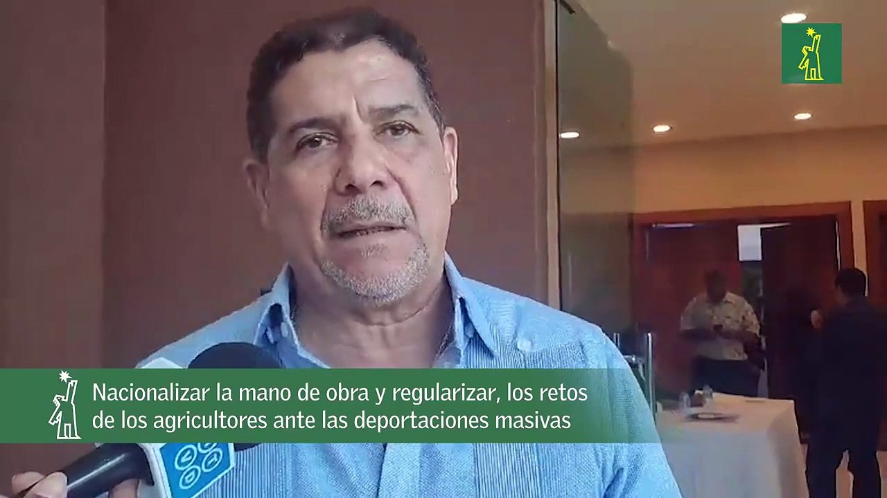 Nacionalizar la mano de obra y regularizar, los retos de los agricultores ante las deportaciones masivas