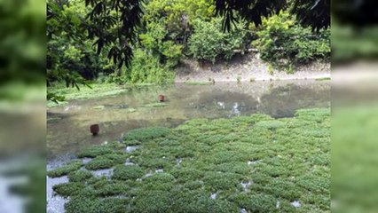 Buscan resolver problemática del drenaje pluvial en Las Praderas