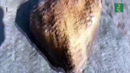 La extrema sequía en la Amazonía brasileña vuelve a revelar grabados rupestres