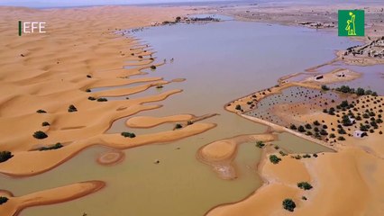 Las inundaciones en el desierto de Marruecos resucitan un lago seco desde hace 50 años.mp4