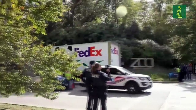 Dos pandas gigantes enviados por China llegaron al Zoológico Nacional de Washington