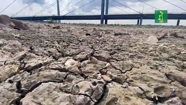 El bajo nivel del Rin pone en riesgo el transporte de materias primas