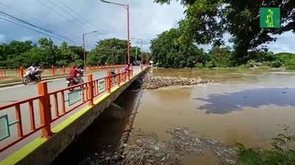 Crecidas de ríos por rotura de muro en Santiago Rodríguez afectó la agropecuaria en Montecristi