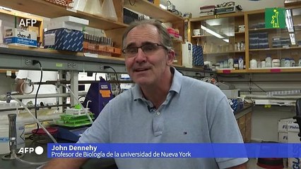 Nueva York inquieta por la reaparición del virus de la polio