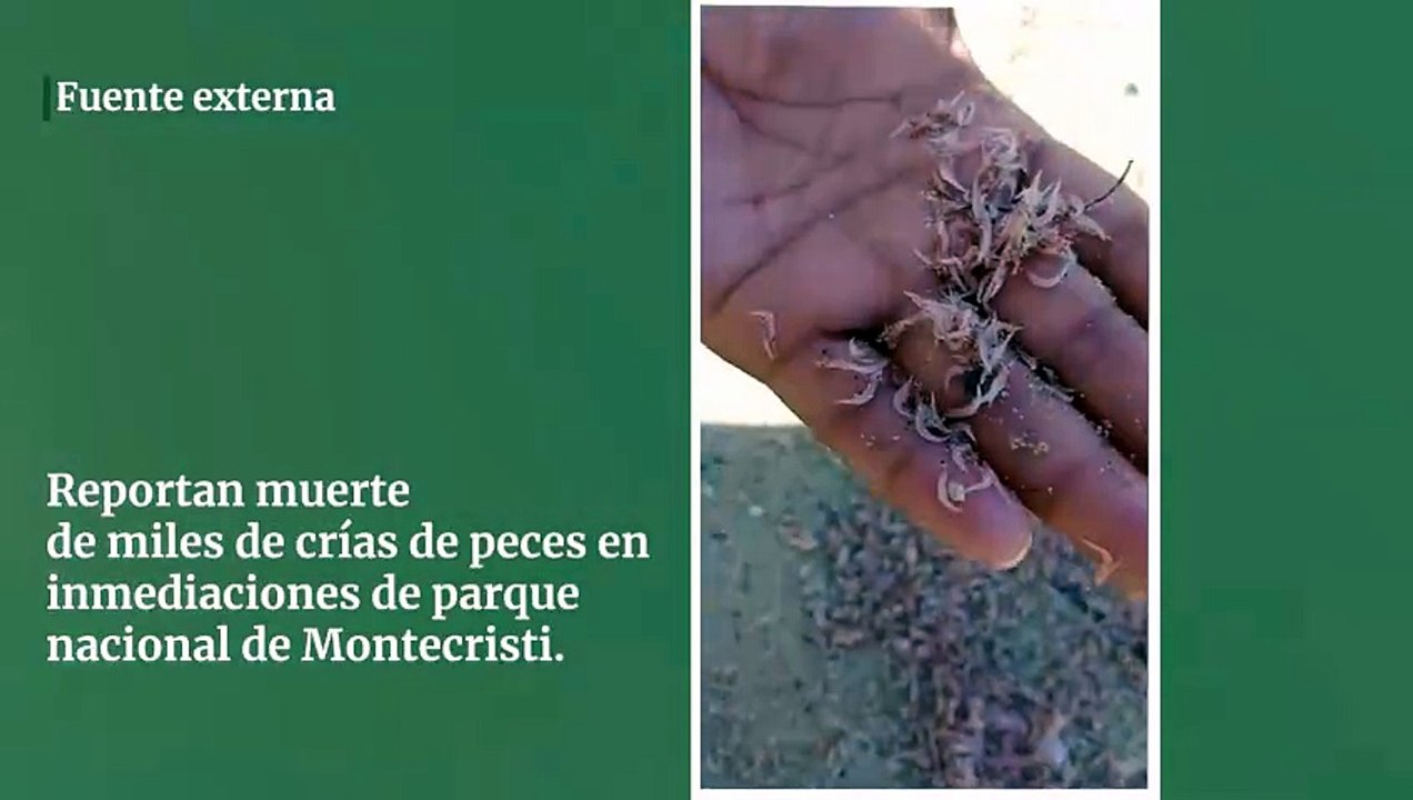 Reportan muerte de miles de crías de peces en inmediaciones de parque nacional de Montecristi