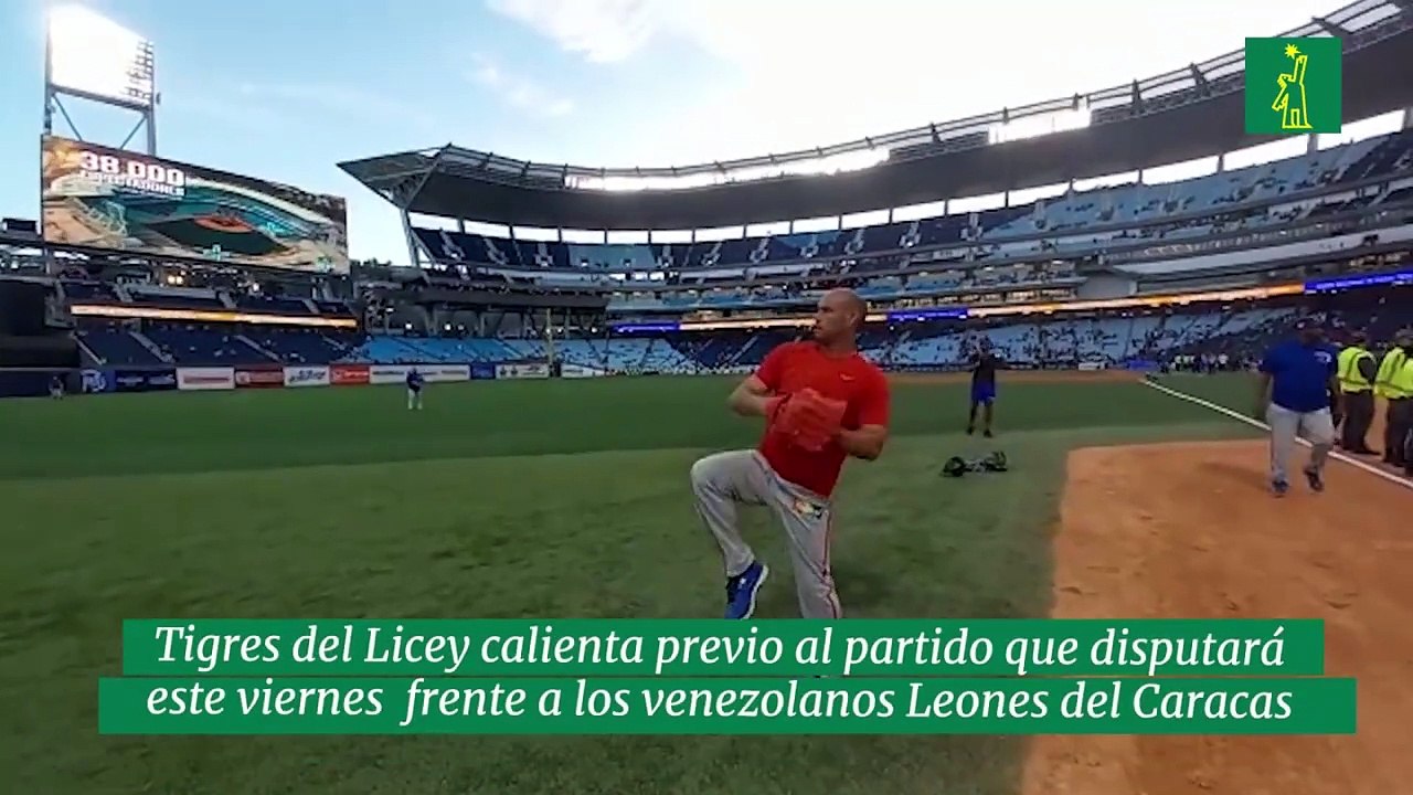 Tigres del Licey calienta previo al partido que disputará  este viernes  frente a los venezolanos Leones del Caracas