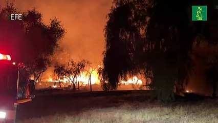Los incendios en California dejan al menos 4 muertos y decenas de evacuados
