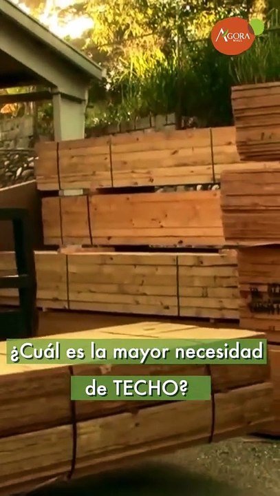 Apoya a TECHO en el Árbol de la Esperanza