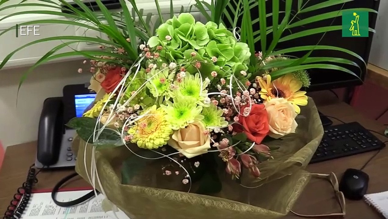 Janus, la tortuga bicéfala del Museo de Ginebra, celebra su 25 cumpleaños