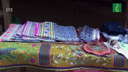 Indígenas lanzan cuenta regresiva para proteger el 80 % de la Amazonía