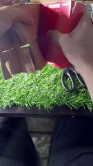 Perfume for women long lasting