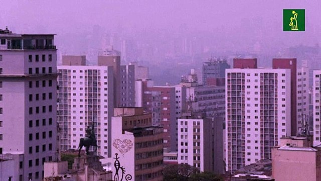 Humo de fuegos en Amazonía alcanza grandes ciudades de Brasil y se expande por el continente