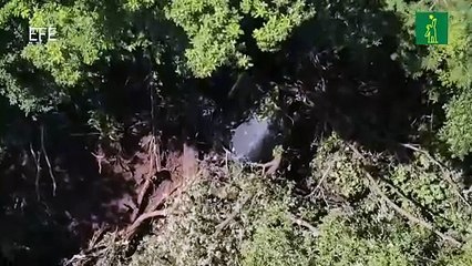 Fallece director de la PNC de El Salvador en trágico accidente aéreo junto a un fugitivo y altos funcionarios.mp4