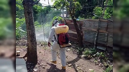 Reportan un caso de dengue tras tres semanas sin positividad