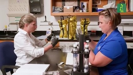 Un científico de Florida estudiará la conducta de las plantas en un viaje al espacio