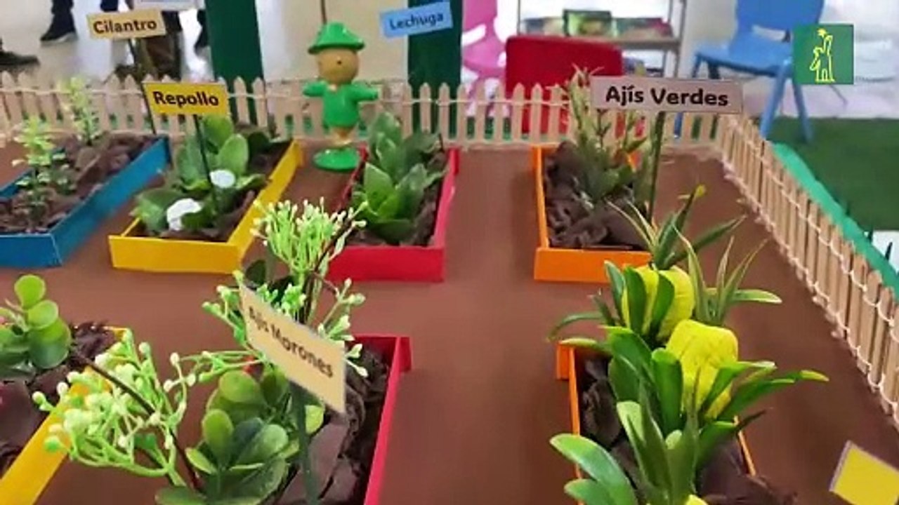 Plantean soluciones a males ambientales que afectan clima escolar en provincias del Cibao