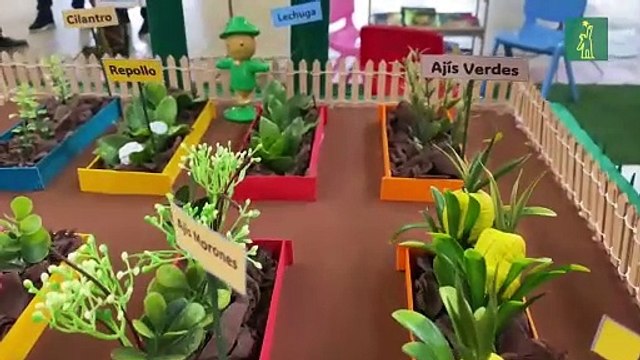 Plantean soluciones a males ambientales que afectan clima escolar en provincias del Cibao