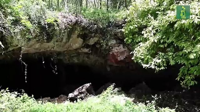 Avenida Ecológica despierta el apetito de invasores e inversionistas que dañan el farallón