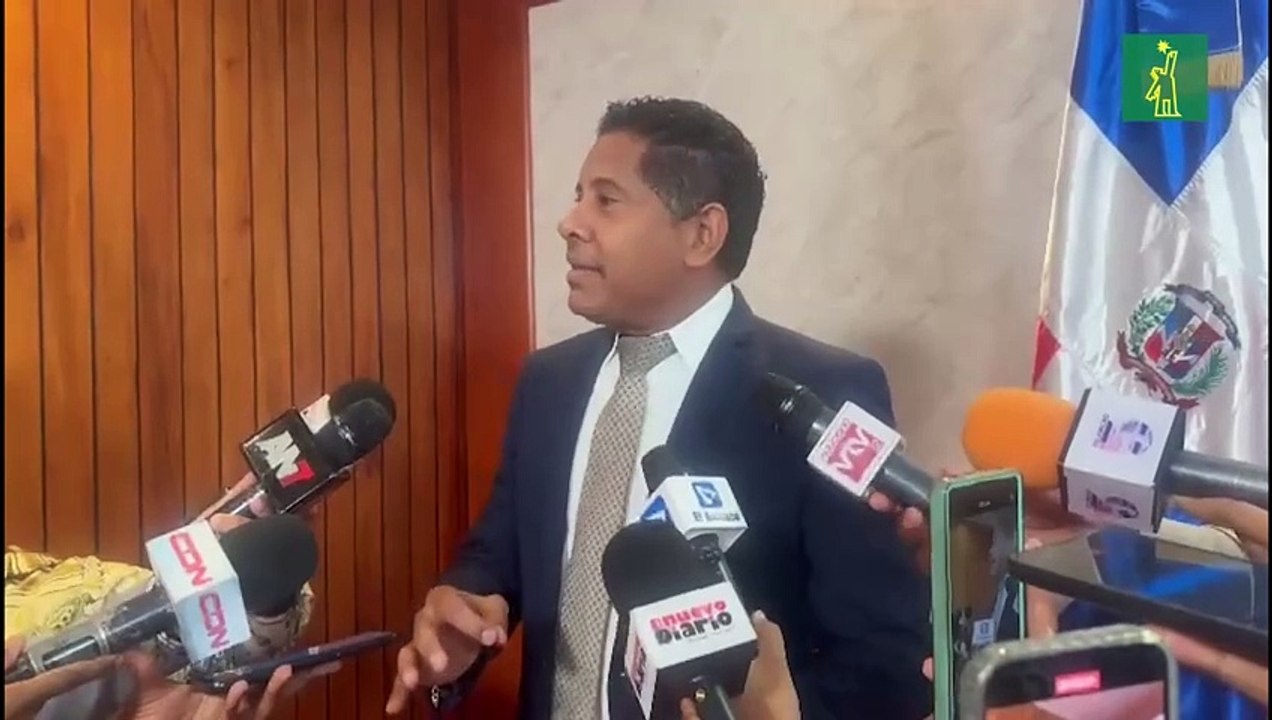 Los legisladores del PRM rechazan reducción de diputados alegando que se golpearía la democracia