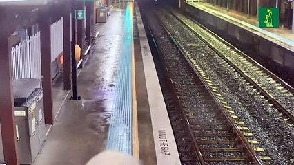 Un caballo se escapa y termina en andén de estación de trenes
