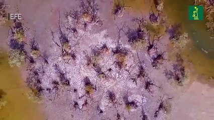 Costa Rica enfrenta el Día de la Tierra bajo la presión de El Niño