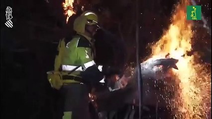 Temperaturas inusualmente altas atizan incendio forestal en el este de España