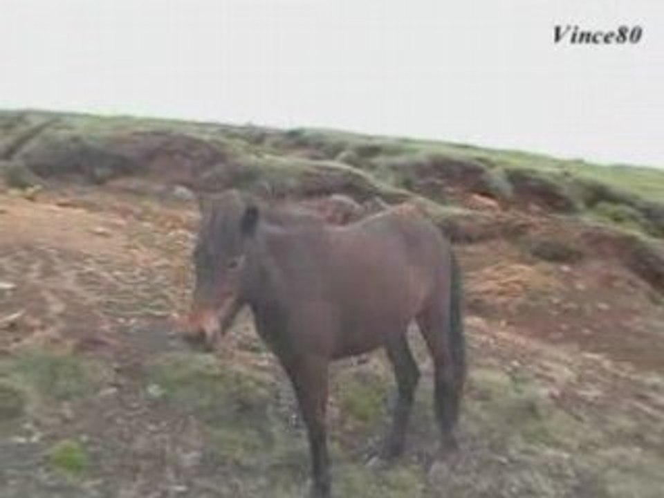 Petite virée en Islande
