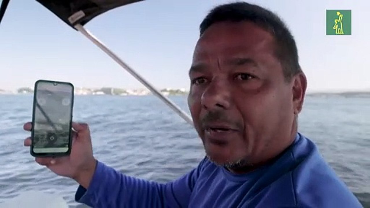 Pescadores en Río de Janeiro crean tecnología para denunciar crímenes ambientales