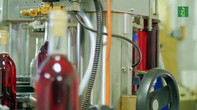 Entrevista A Alejo Campos De Crime Stoppers - Matías Boncosky