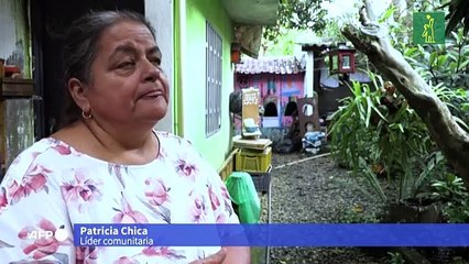Una "biofábrica" de mosquitos en Colombia lucha contra el dengue y la desinformación