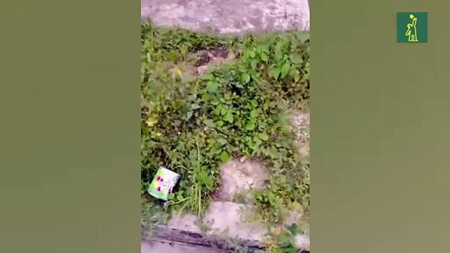 María Corina Machado denuncia un atentado contra ella y su equipo